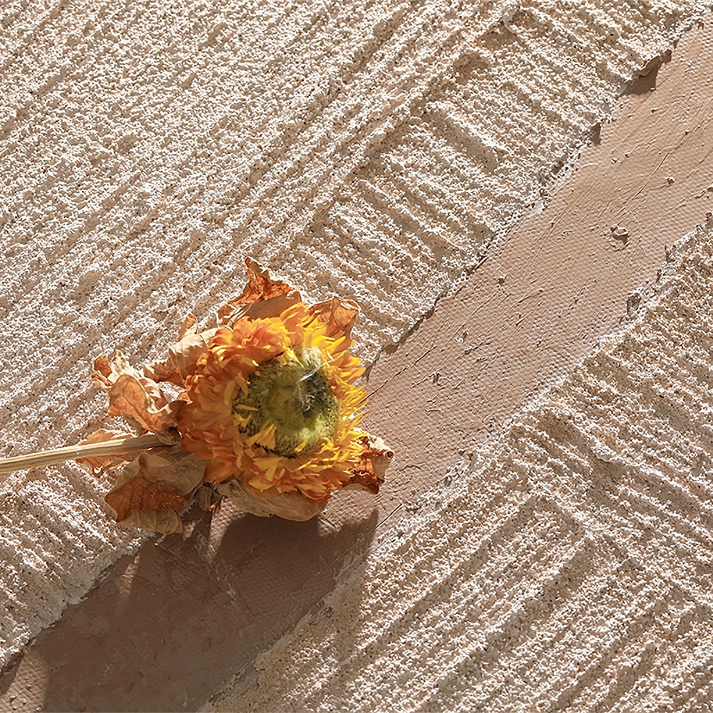 Wabi Sabi Abstract Wall Art #WA081